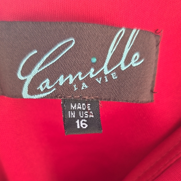 Red Maxi Dress from David Bridal - Picture 2 of 3